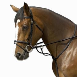 Martingale à anneaux équitation cheval SCHOOLING noir