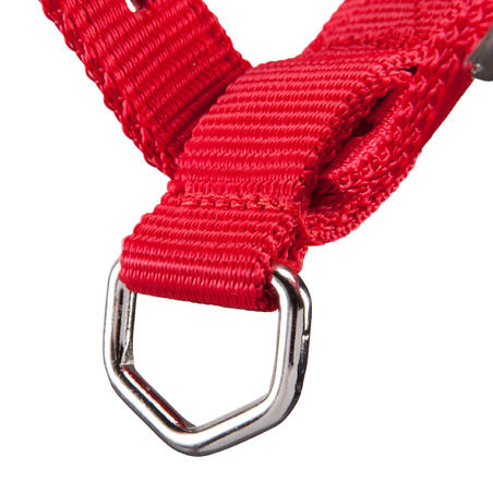 Schooling Horse Riding Halter For Horse Or Pony - Red