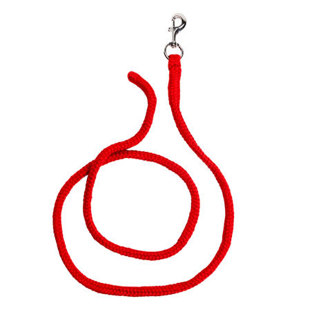 Tack Horse and Pony Riding 2 m Leadrope - Red