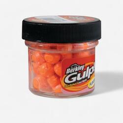 PATE A TRUITE PECHE DE LA TRUITE EN ETANG AUX APPATS OEUFS DE SAUMON ORANGE