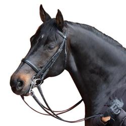 Cabezada y riendas equitación Fouganza BEAUVALAIS caballo negro