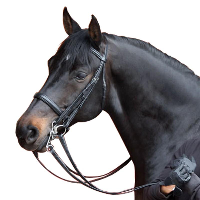 Hollywood blik beeld FOUGANZA Set hoofdstel + teugels voor paard Beauvalais zwart | Decathlon