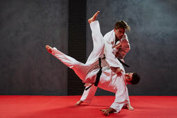 Judo and martial arts