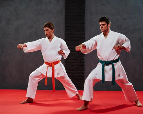 mężczyźni w trenujący judo 