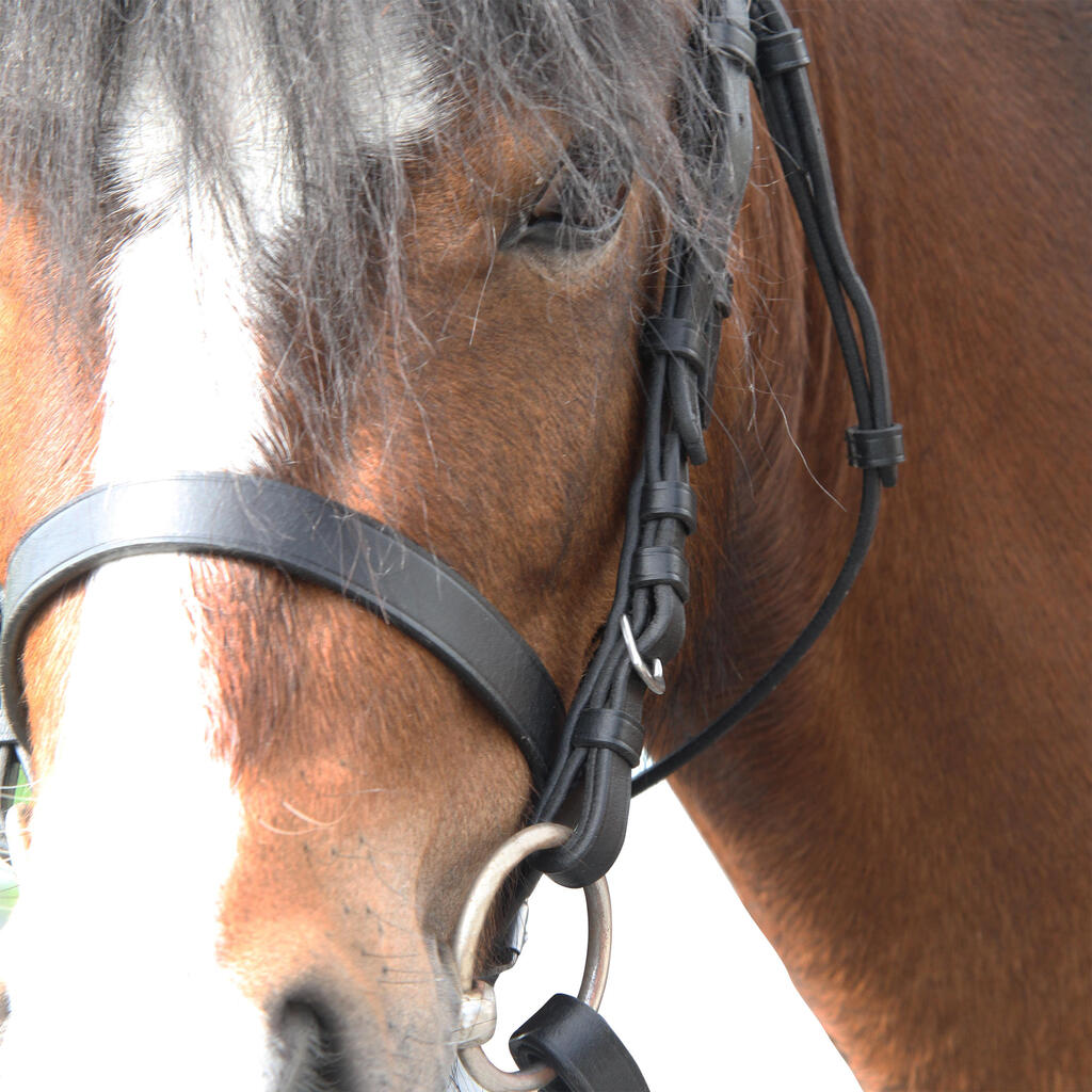 Filet et rênes équitation cuir muserolle française Cheval et Poney - 100 noir