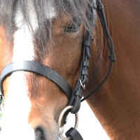 Horse Riding Leather Bridle With French Noseband & Reins for Horse & Pony 100 - Black