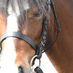 Schooling Horse and Pony Riding Bridle + Reins