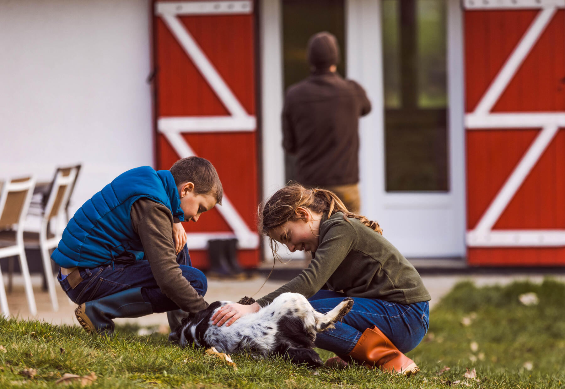 Comment preparer l arrivee d un chien a la maison 