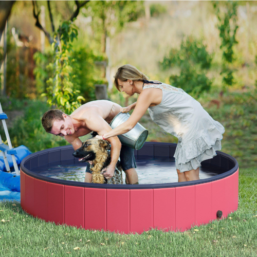 Piscinas para perros Decathlon