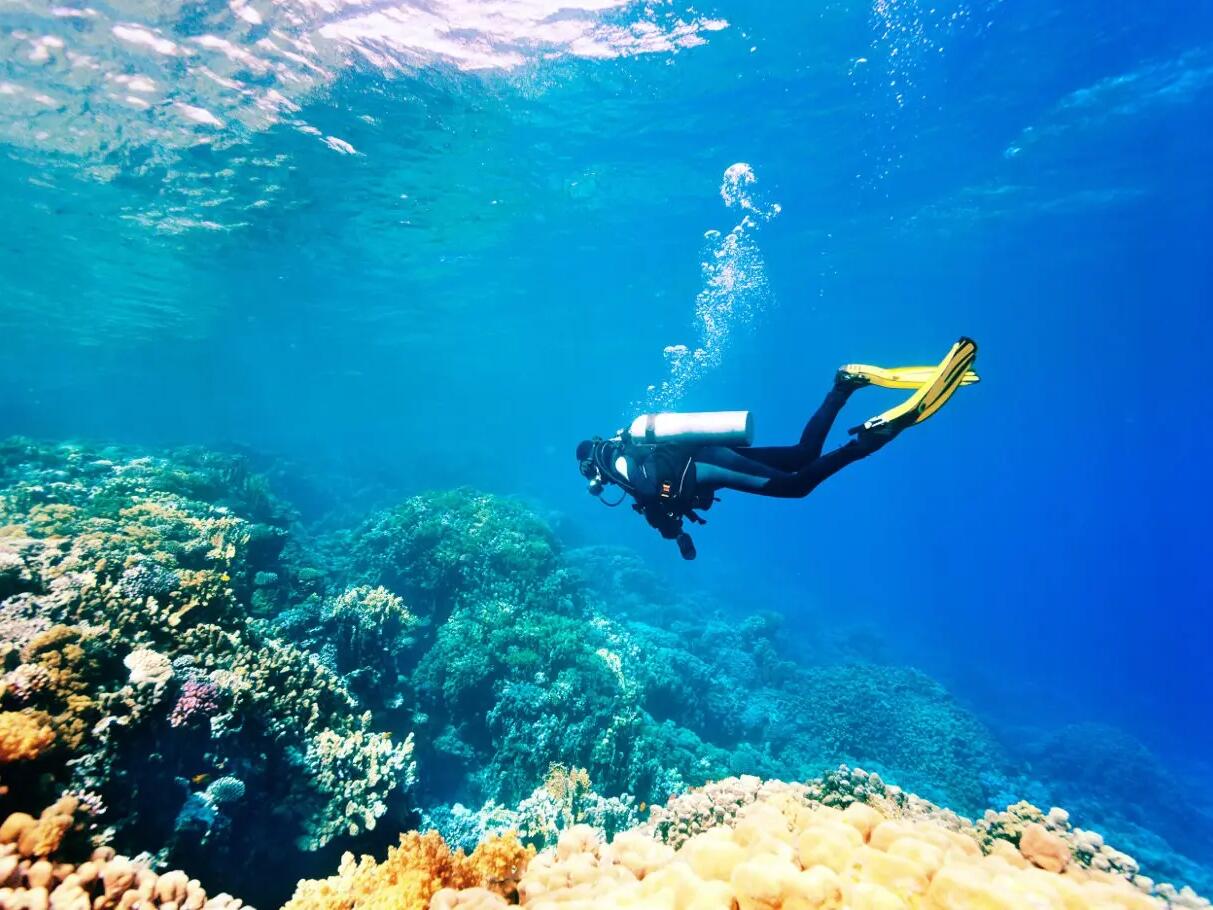 Snorkeling vs Scuba Diving. What's the difference? | Decathlon TH