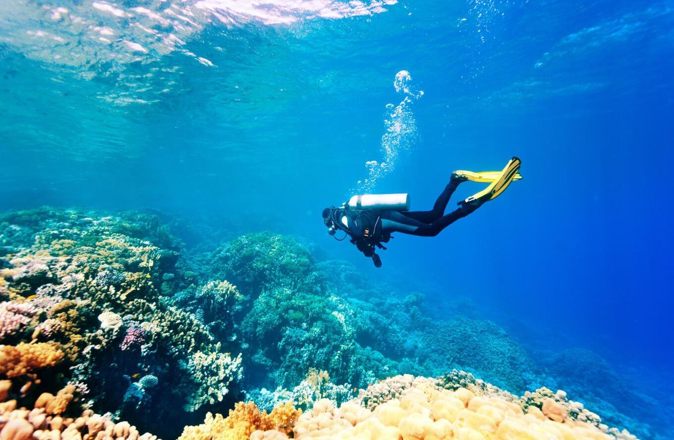 scuba diving bali