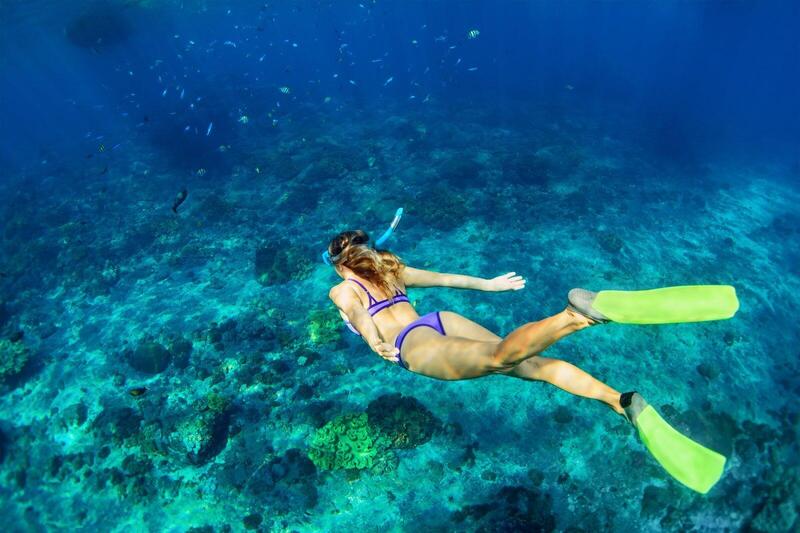 Las 6 Mejores Máscaras de snorkel y Gafas de Buceo Calidad-Precio