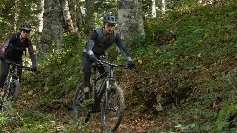 ROCKRIDER ST 520 (2019)
