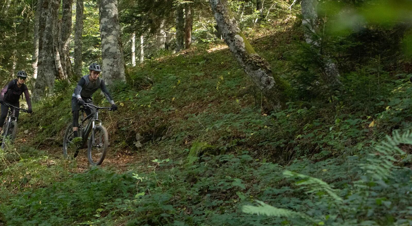 MTB eléctrica e-ST900 ROCKRIDER