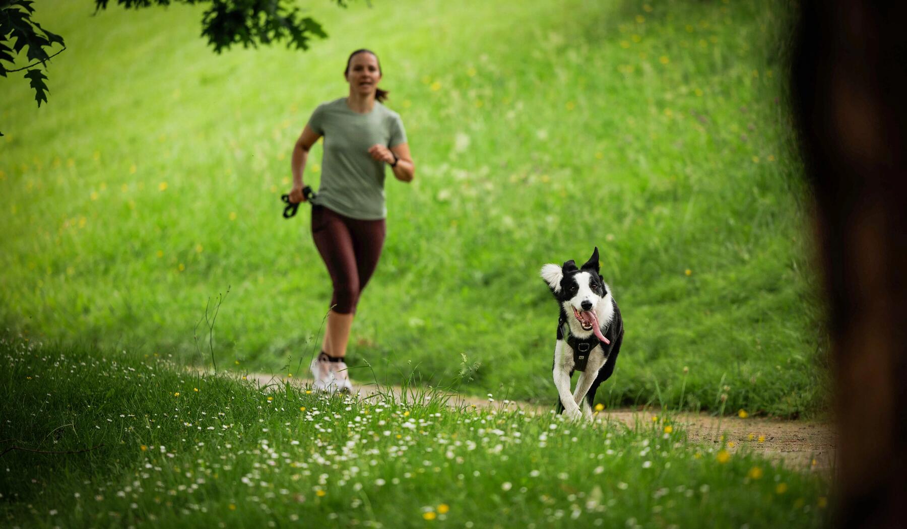 Joggen ist ein beliebter Sport mit Hund