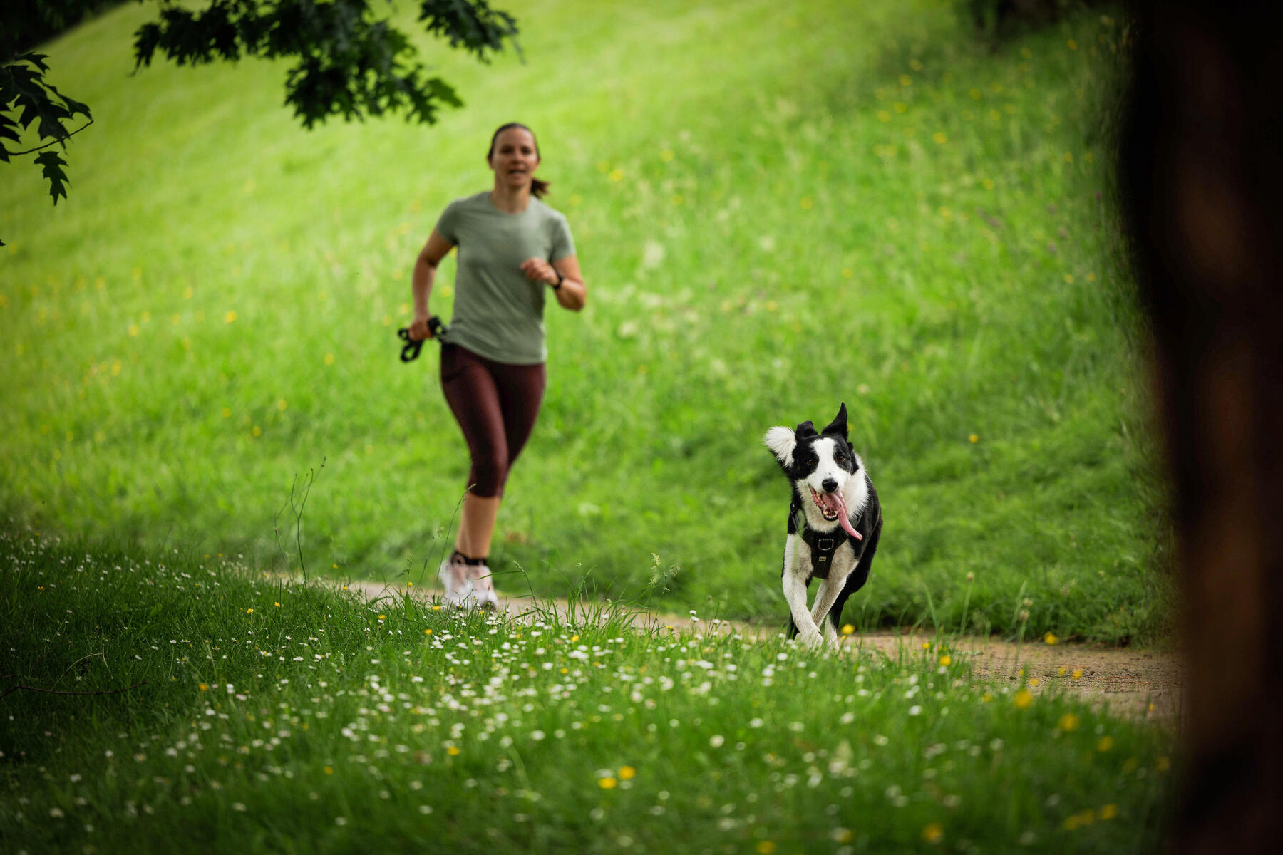 Frau joggt auf einem Weg zwischen grüner Wiese zusammen mit einem Hund