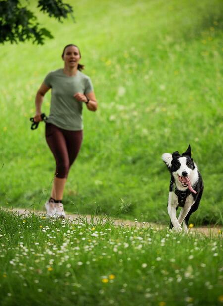 Un article qui présente comment bien commencer le sport avec son chien en 7 points