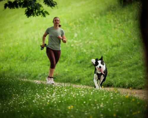 Por dónde empezar a hacer deporte con tu perro Los puntos clave