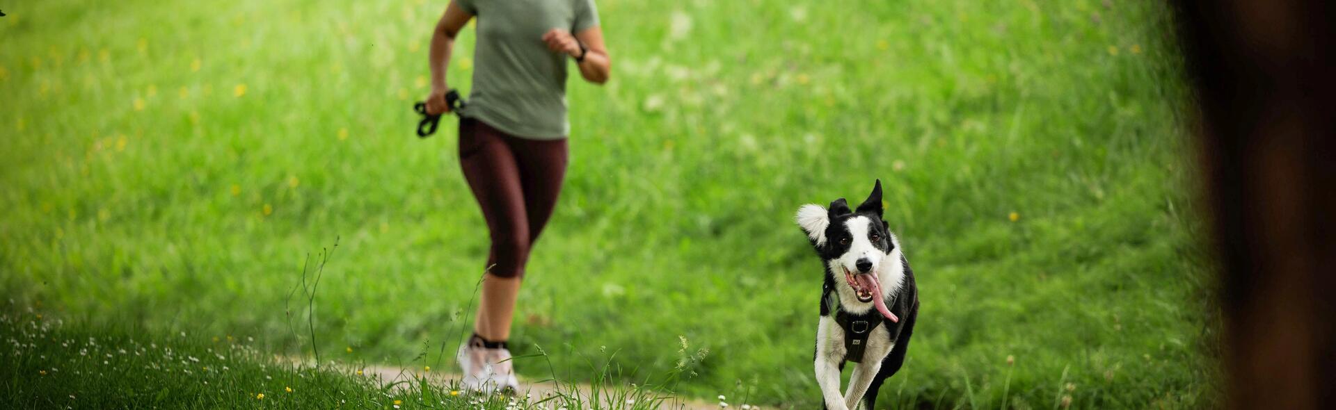  Comment commencer le sport avec son chien? Les points incontournables