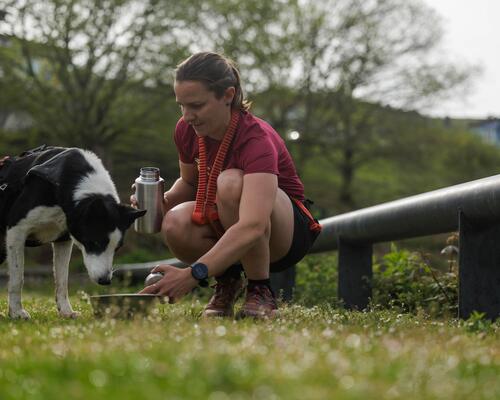 6 bonnes raisons de courir avec son chien