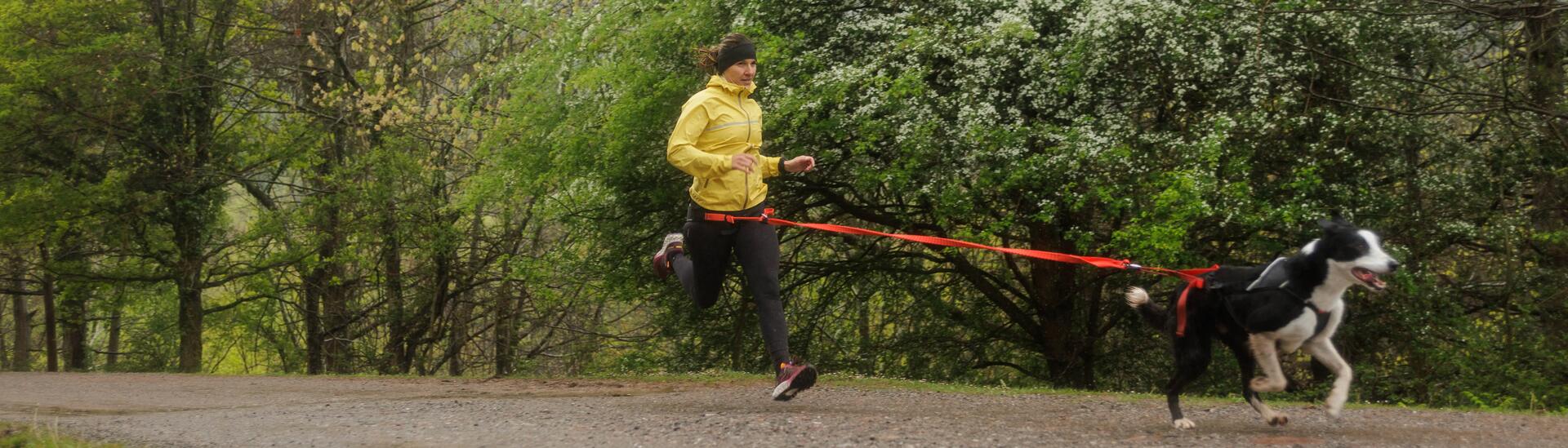 Pratiquer les sports canins 