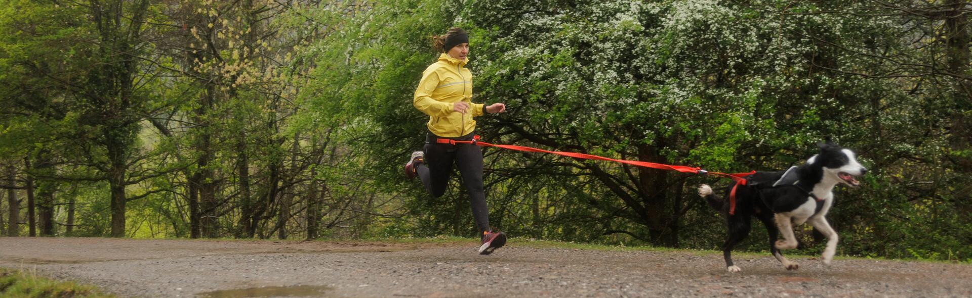 top banner cani cross