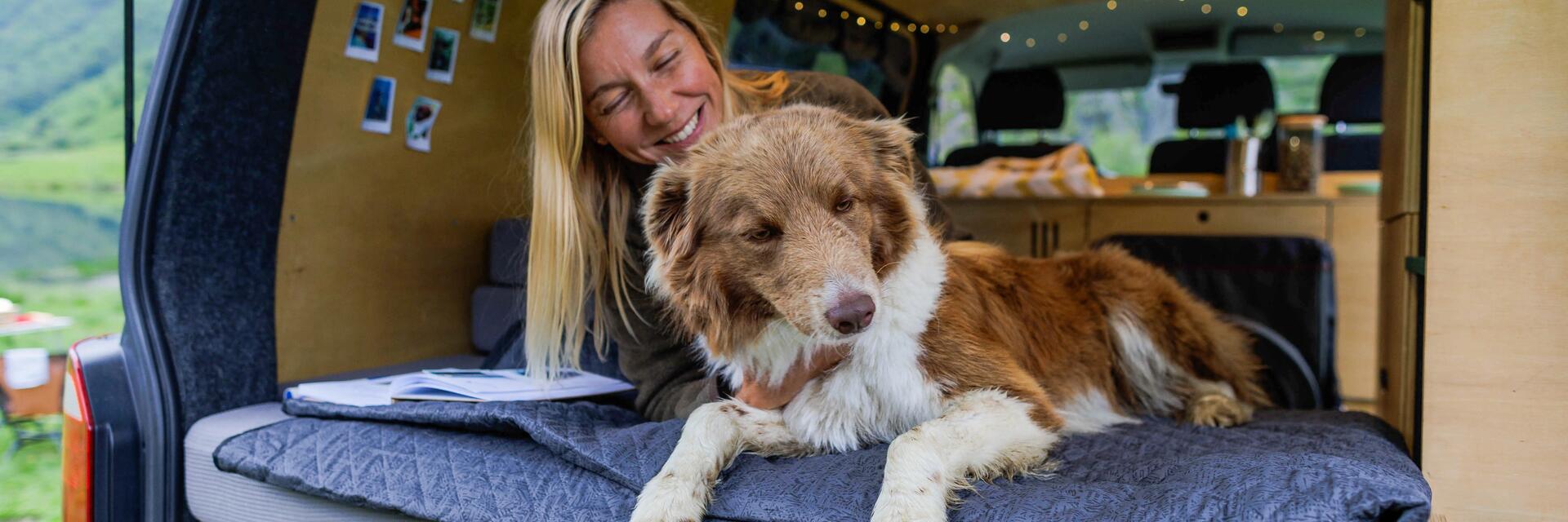 sphere media background sample