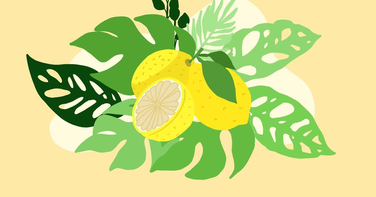 Bienfaits du citron : le vrai du faux
