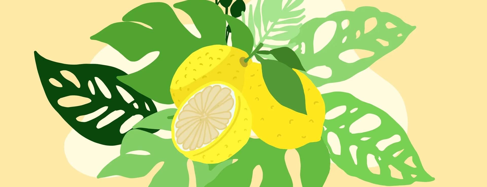 Le citron : propriétés et bienfaits santé