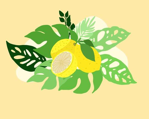 Bienfaits du citron : le vrai du faux