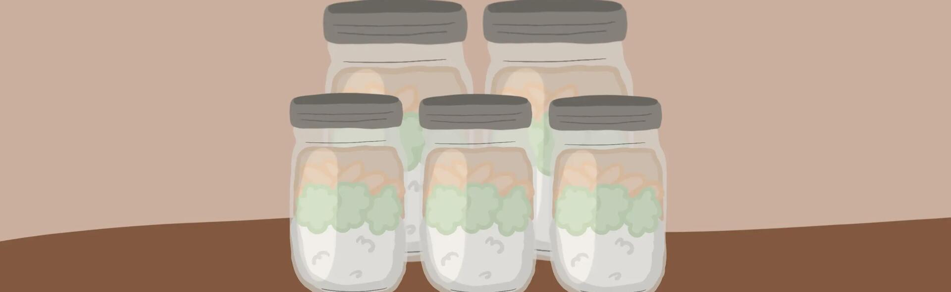 Cuisiner rapidement et équilibré : si vous tentiez le batch cooking ?