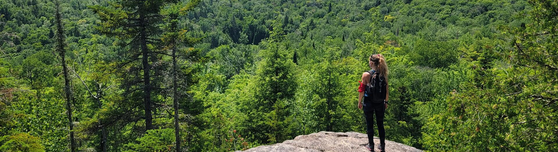 woman standing on a high rock overlooking the forest 
