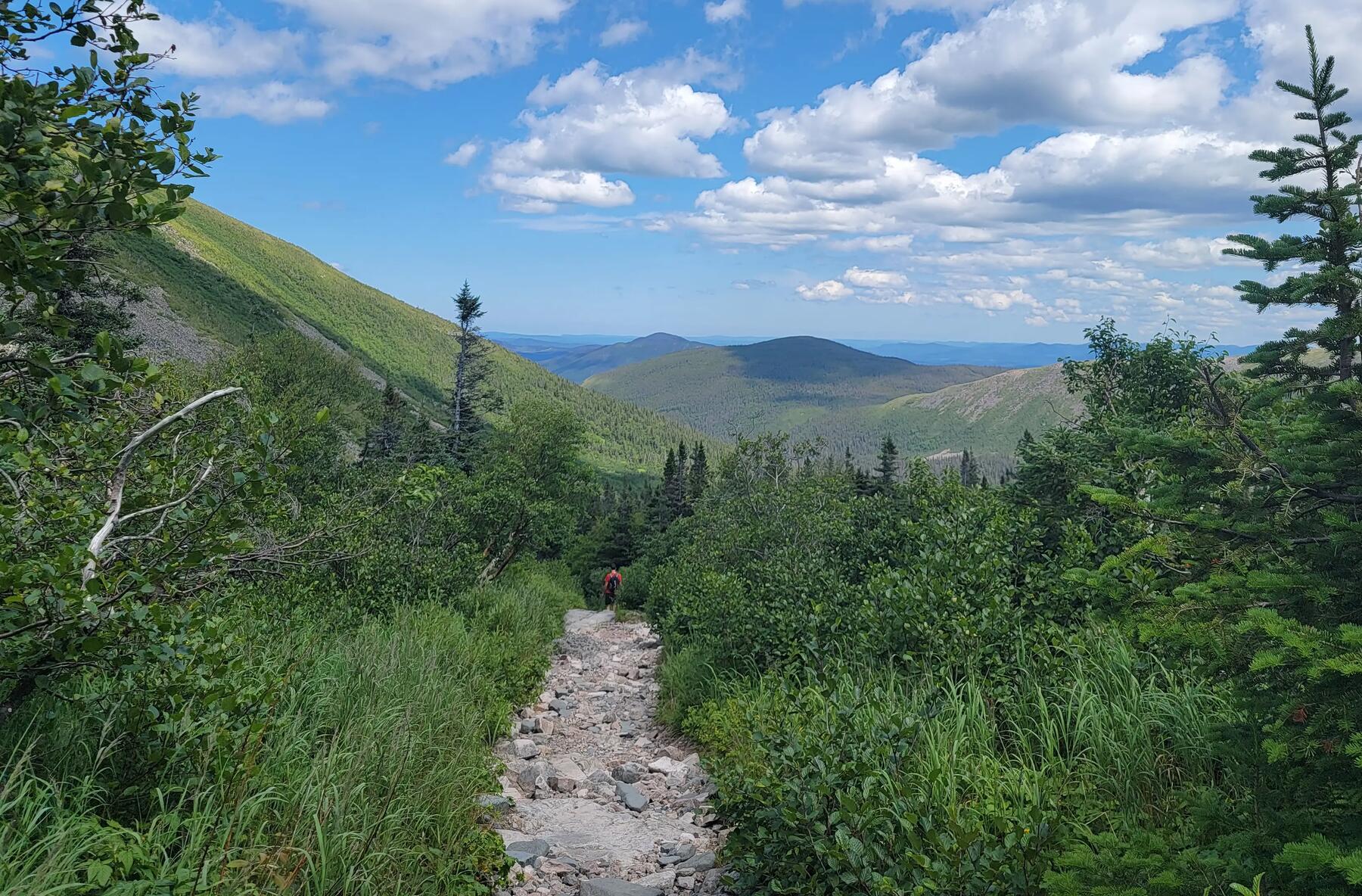 a rocky pathway surrounded by a green lanscape 
