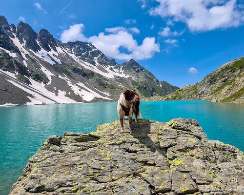 Massif de Belledonne - Randonnée avec son chien