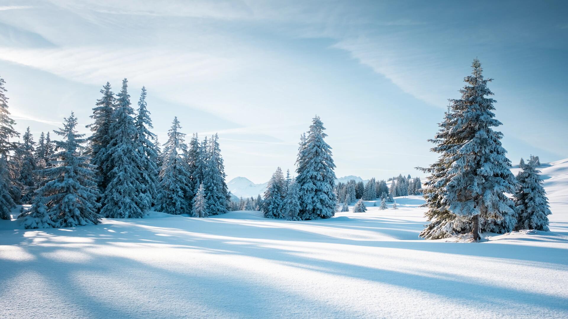paisagem com neve