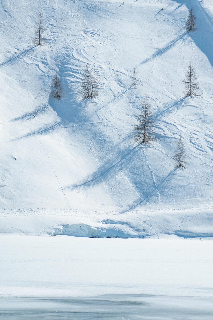 landscape neige
