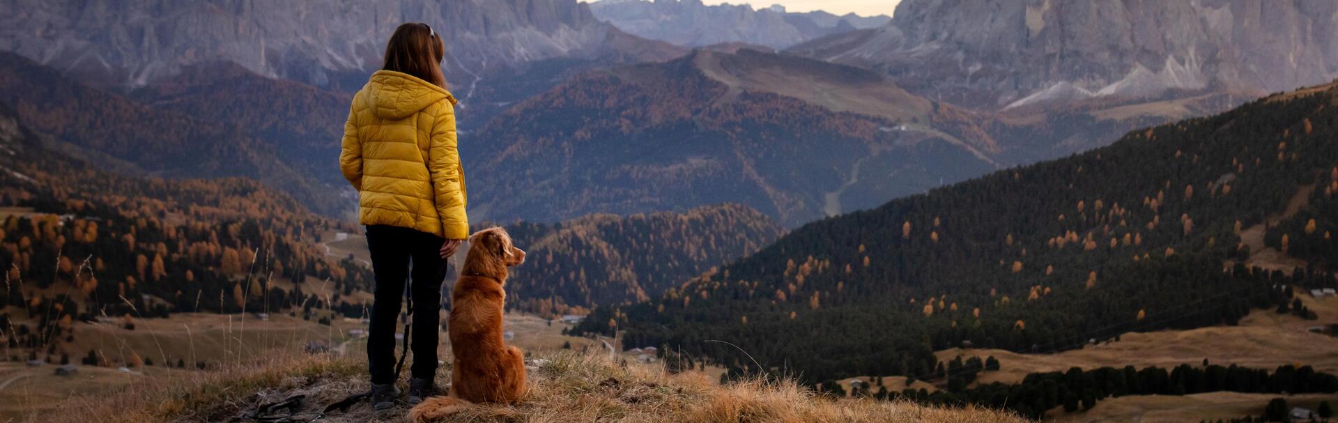 La randonnée avec son chien : comment commencer la canirando ?