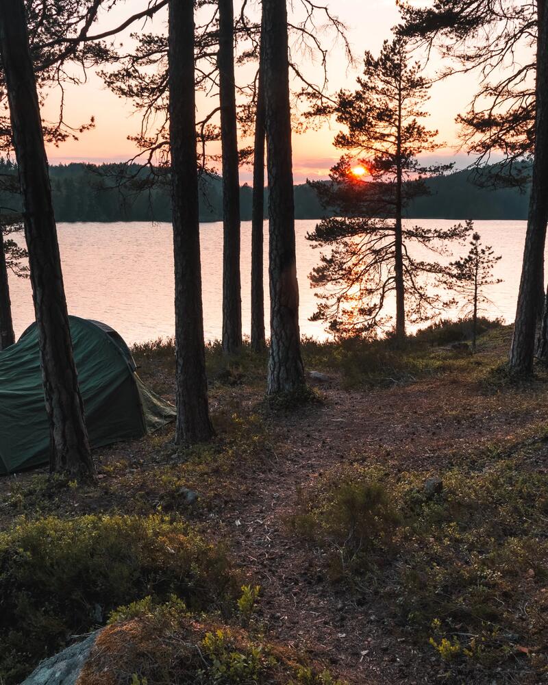 Camping outlets 2024