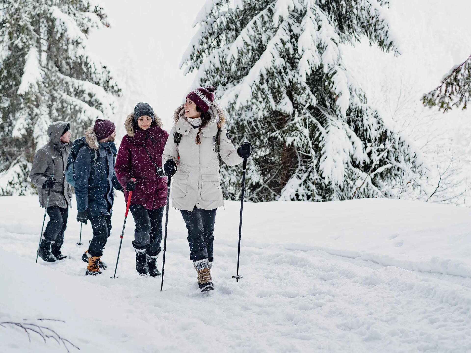 SnowContact des semelles de chaussure pour la neige