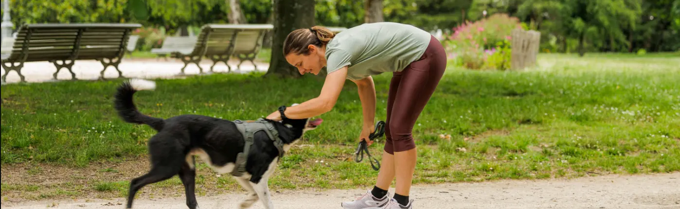 Sport mit Hund: So wirst du mit deinem Hund gemeinsam fit!