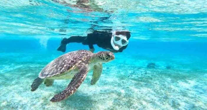 Snorkeling in Okinawa