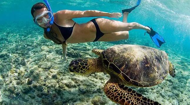 Snorkeling in Similan Idlands