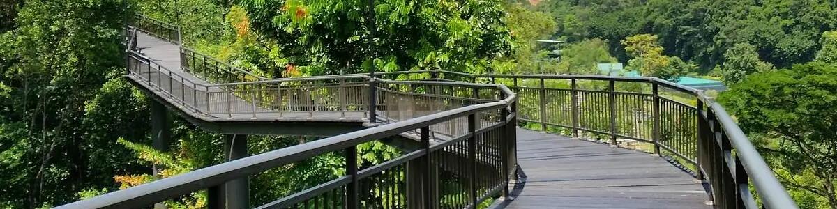 Best Nature Parks in Singapore