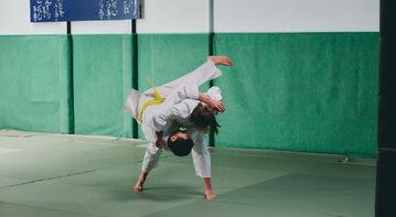 Judo, Aikido