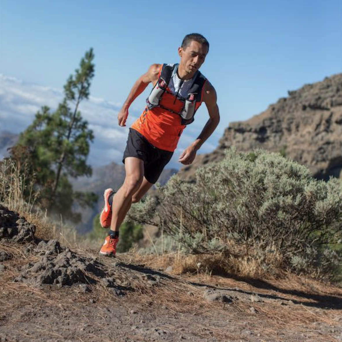 Des éditions limitées de la star du trail 