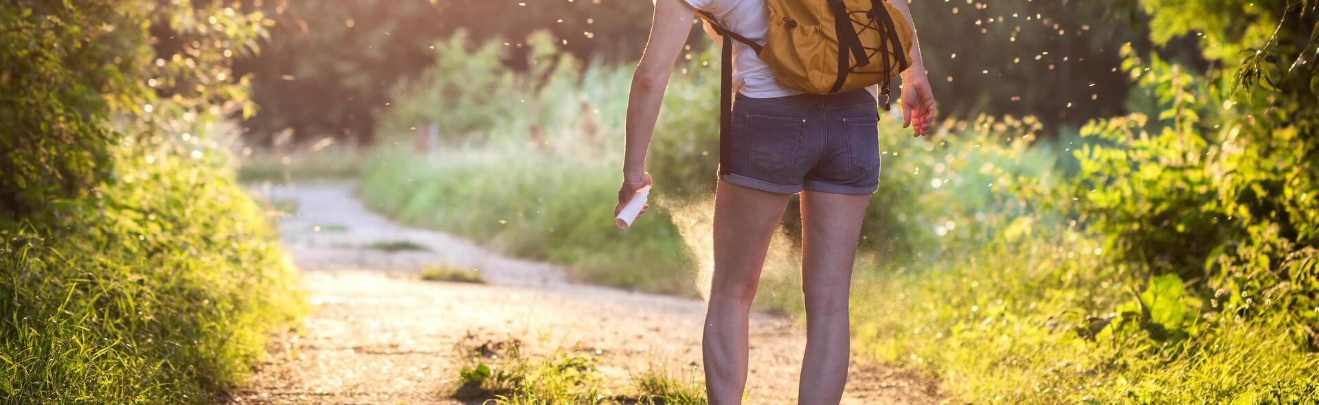 Tique mal enlevée : que faire ? 