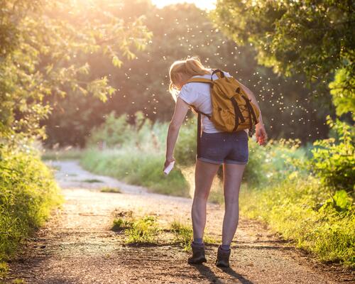 Tique mal enlevée : que faire ? 