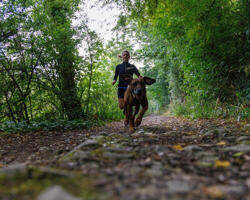 courir avec son chien