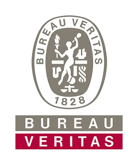 Logo bureau véritas