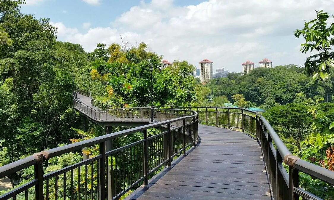 5 Things to Do at Kent Ridge Park